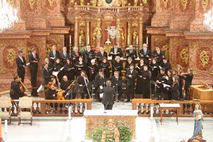 Orchestre du collegium musicum de Lucerne
